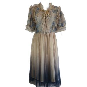 Chicwish Glam Pleated Sheer Tulle Women Dress Sz L Fairy Ethereal Chic Whimsical